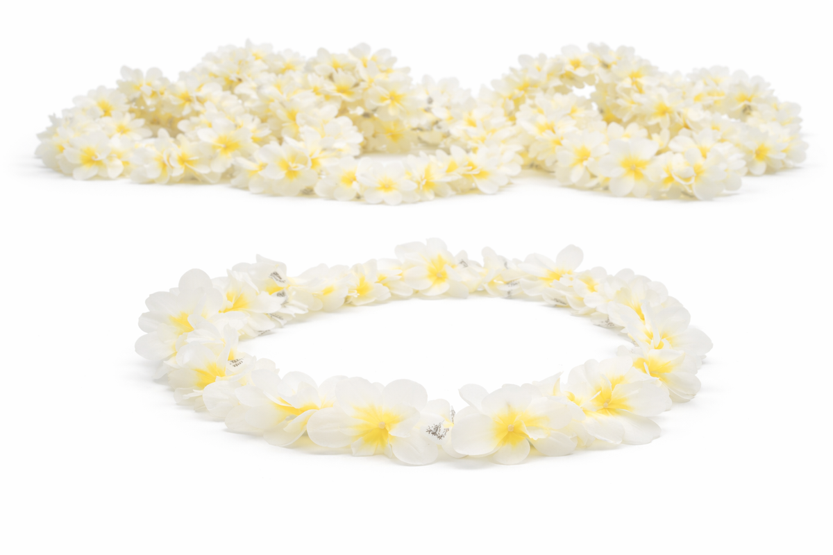 10 colliers Malibu Colliers de fleurs Hawaii Fête Carnaval Festival Accessoire