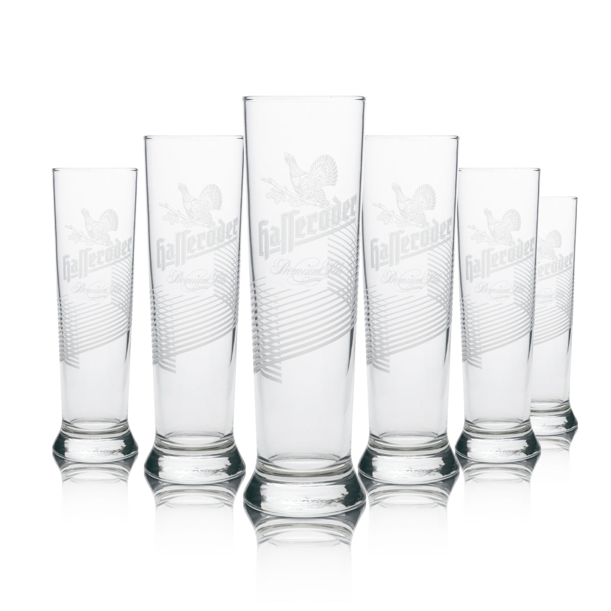 1 verre à bière Hasseröder Premium Pils 300 ml avec relief