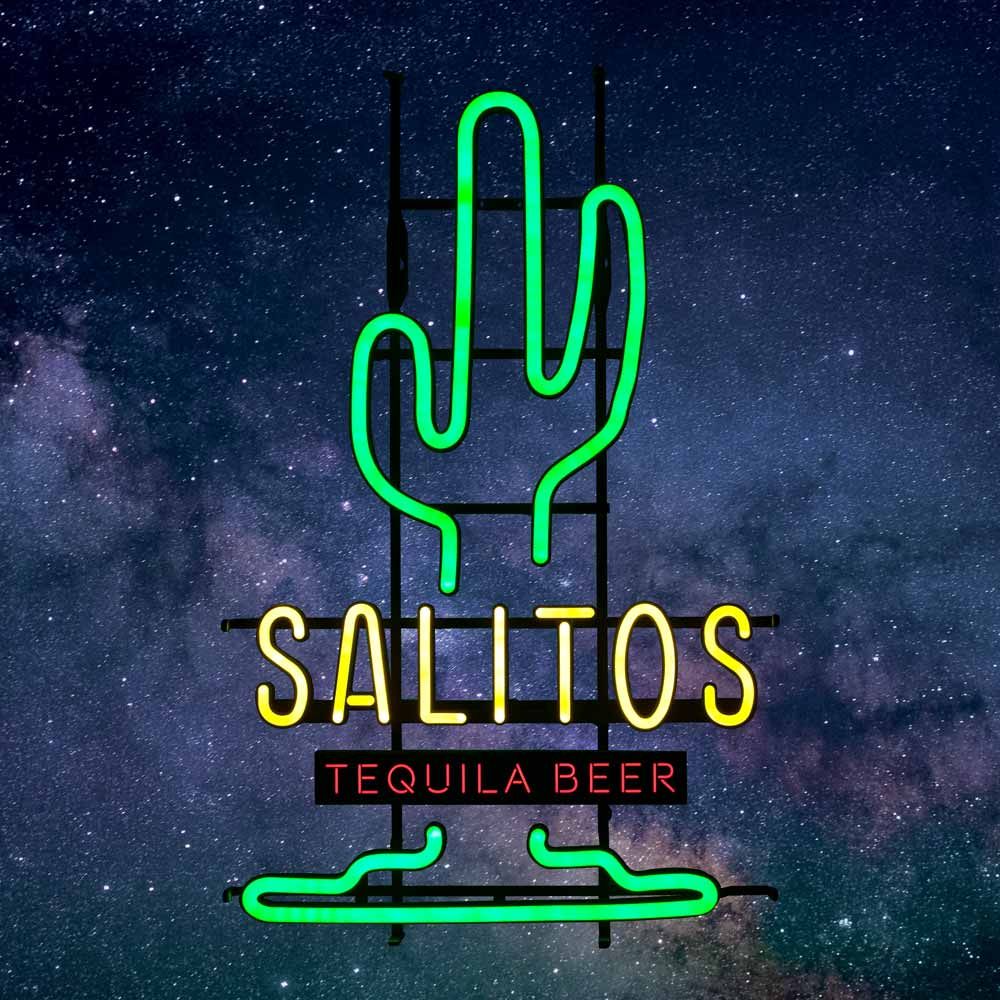 1x Salitos Bière LED Panneau Néon Cactus 46,5 x 73 x9