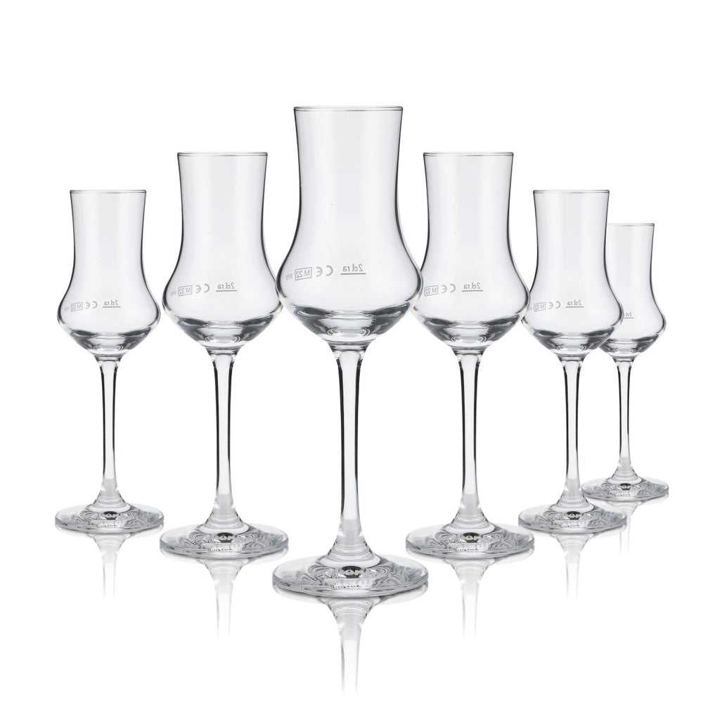 6x Birkenhof Brennerei Verre 2 cl Verre à dégustation Verre à grappa Verre à vin