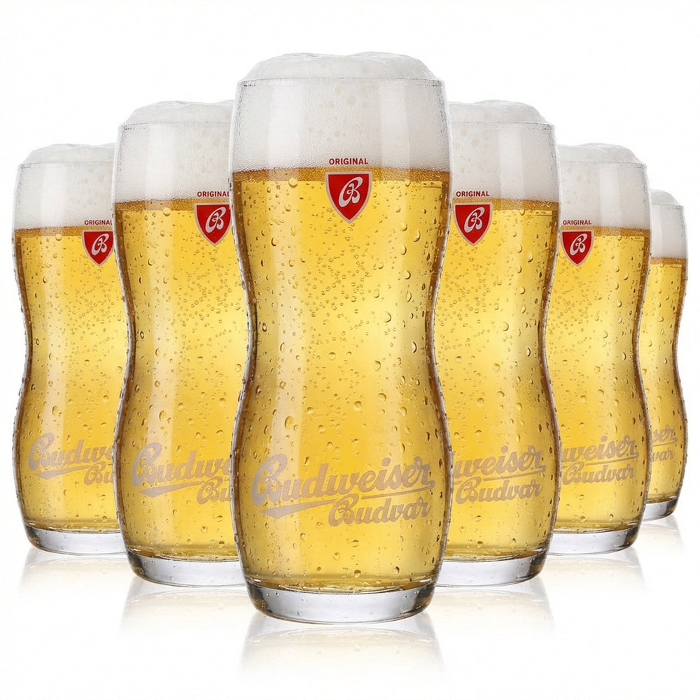 6 verres à bière Budweiser 0,3 l Verres à bière profilés Verres design Budvar