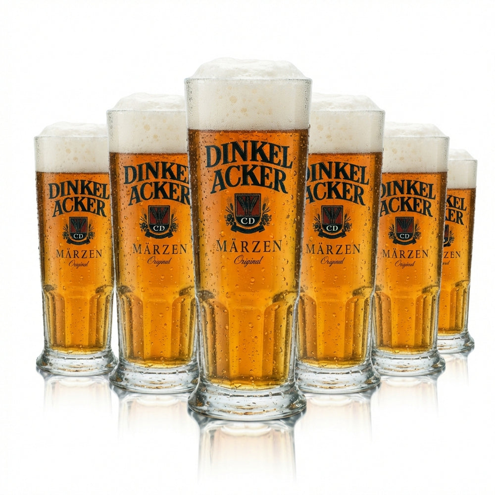6 verres à bière en épeautre 0,25 l, chope Märzen Habsburg Sahm Seidel avec anse