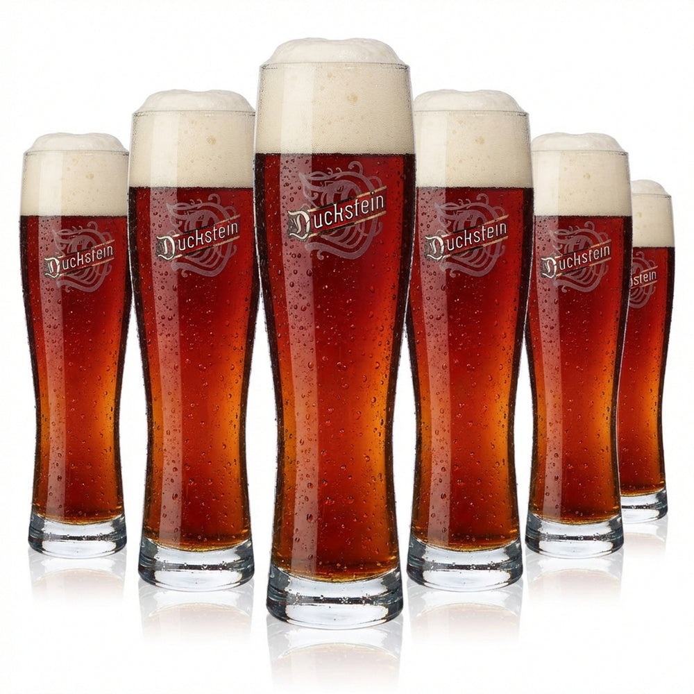 6 verres à bière Duckstein 0,5 l Verres à bière en verre blanc avec bord argenté