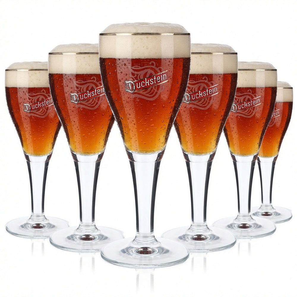 6 verres à bière Duckstein 0,25 l, bord platine, grand logo Harzer