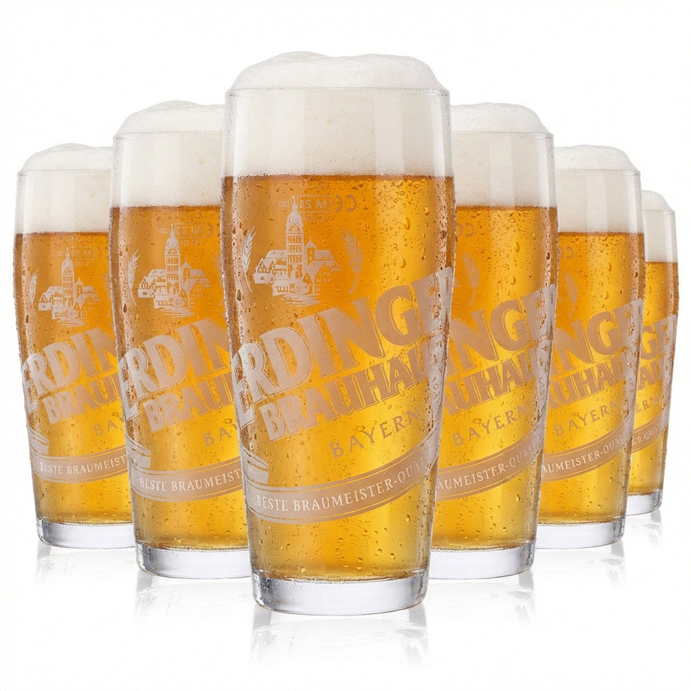 6 verres Erdinger 0,3 l Brauhaus Bier Willibecher Gobelets Verres Verre à bière Weissbräu