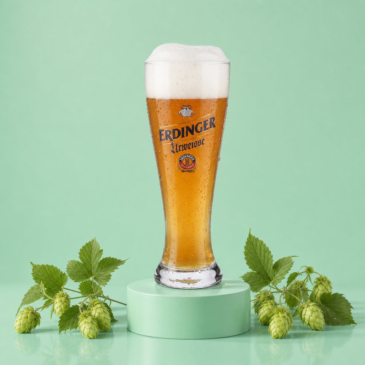 6 verres Erdinger 0,3 l Urweisse Verre à bière blanche Effet perlé Fabriqué à la main Hefeweizen
