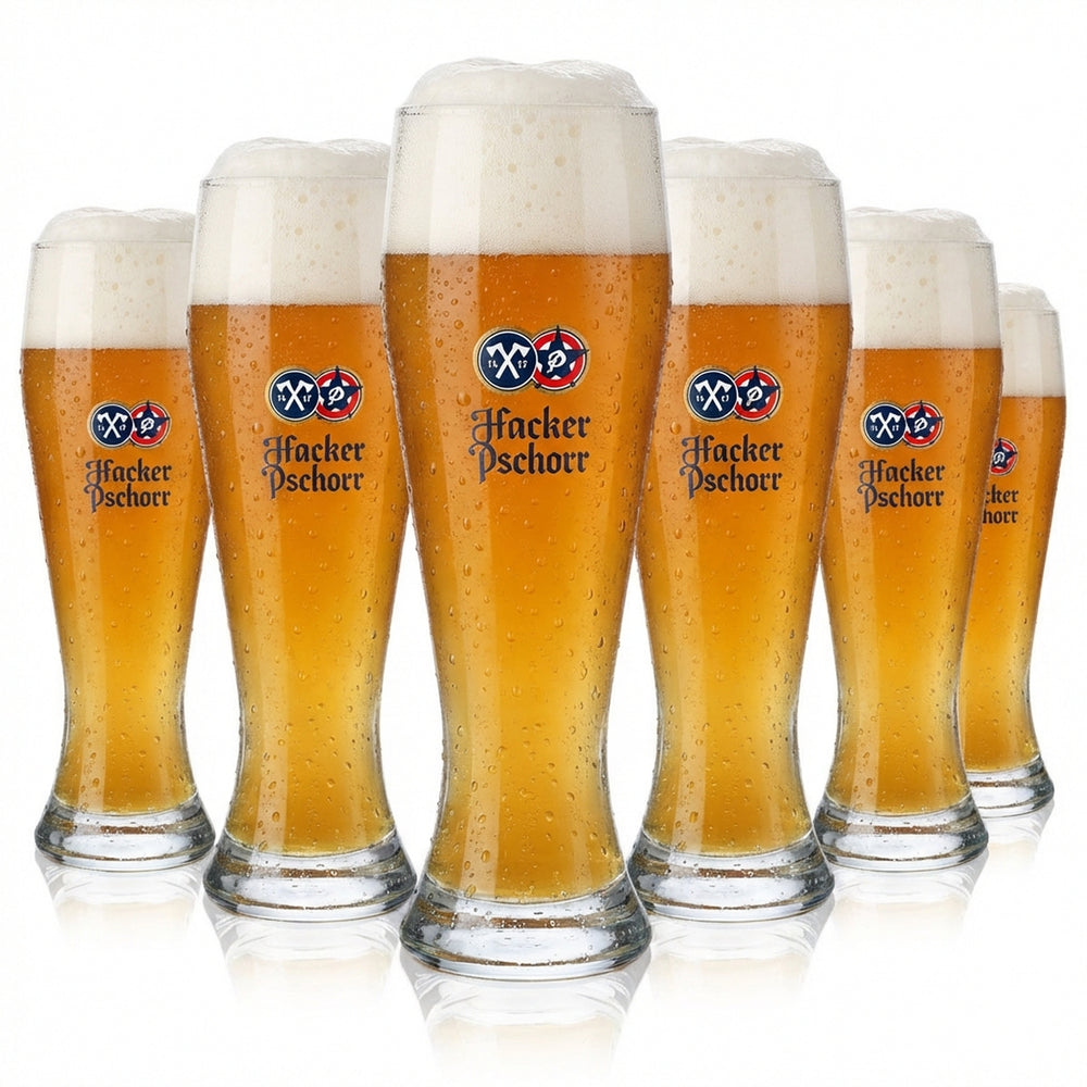 6 verres à bière Hacker Pschorr 0,5 l Verre à bière blanche « Spitzingsee » Rastal
