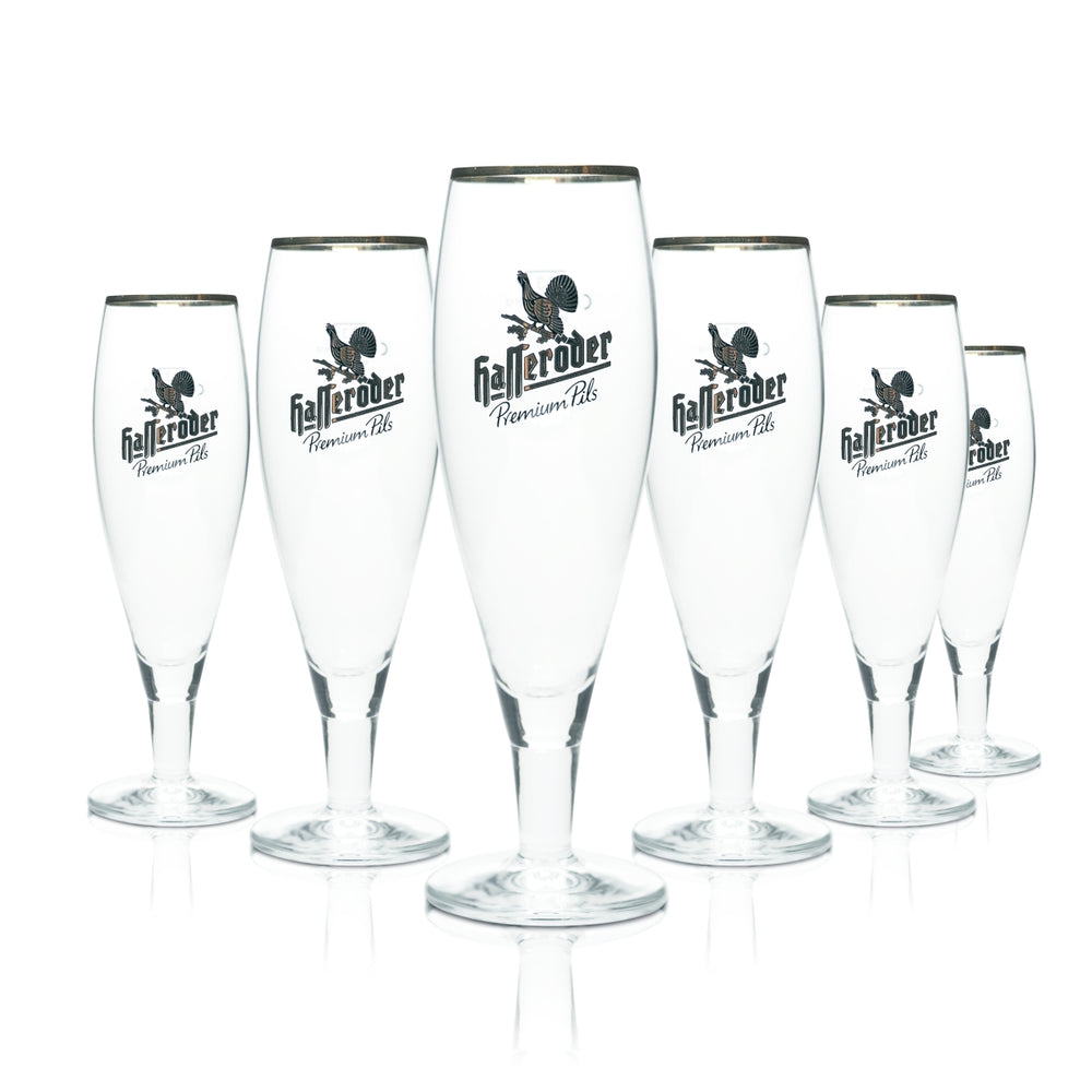 6 verres à bière Hasseröder 0,3 l, forme tulipe, bord doré Allegro, verres gastronomiques