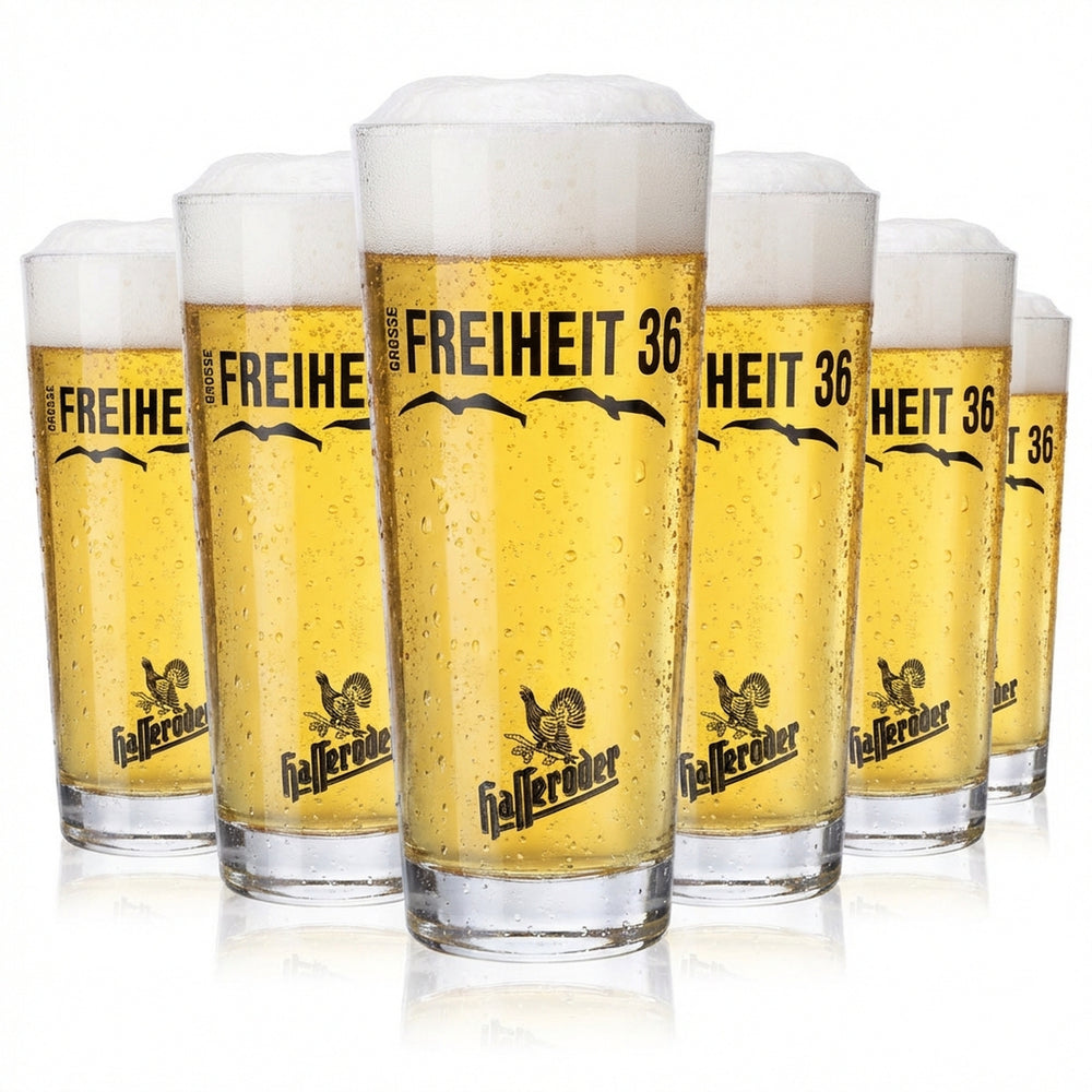 6 verres à bière Hasseröder Verres à bière 0,3 l Willibecher Große Freiheit 36