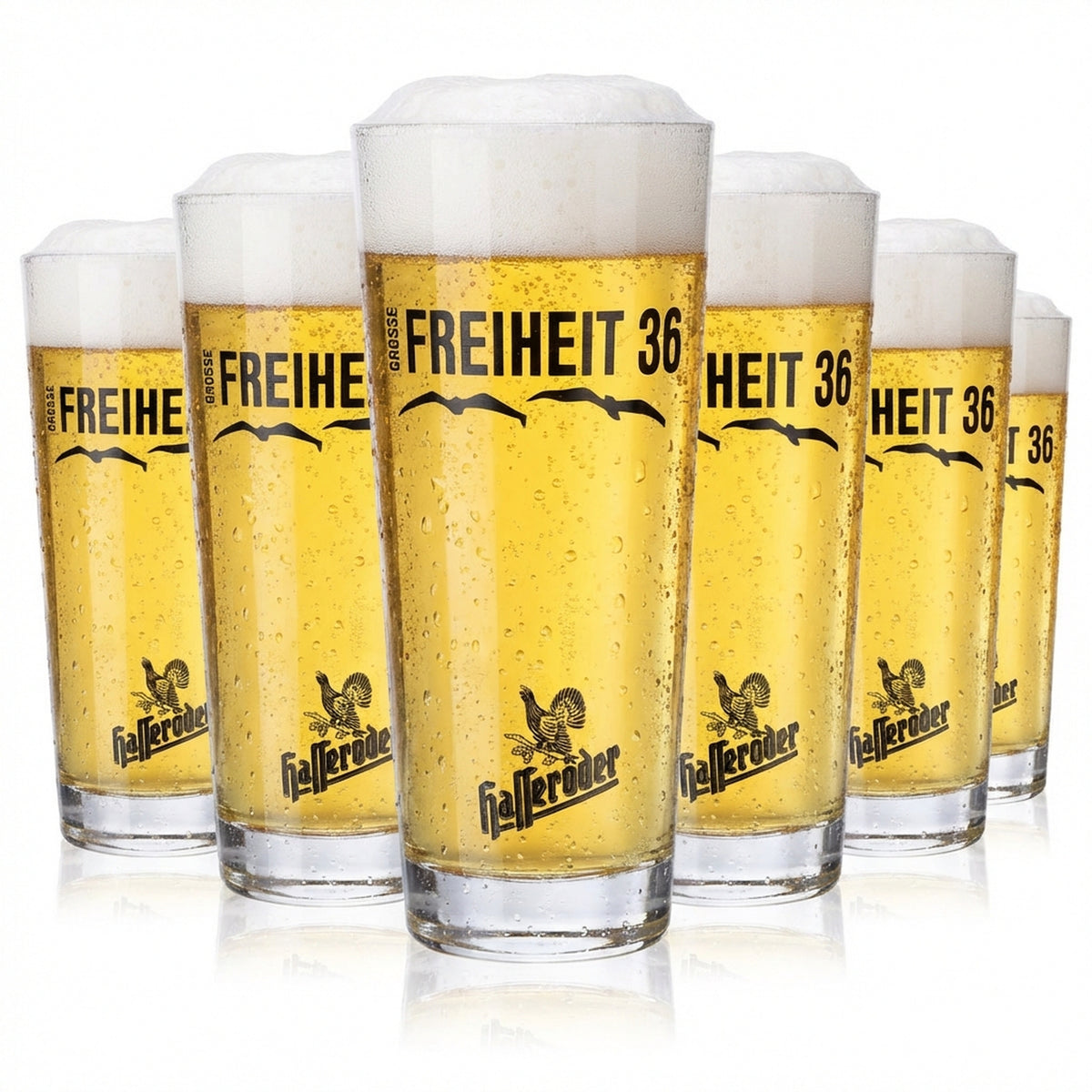 6 verres à bière Hasseröder Verres à bière 0,3 l Willibecher Große Freiheit 36