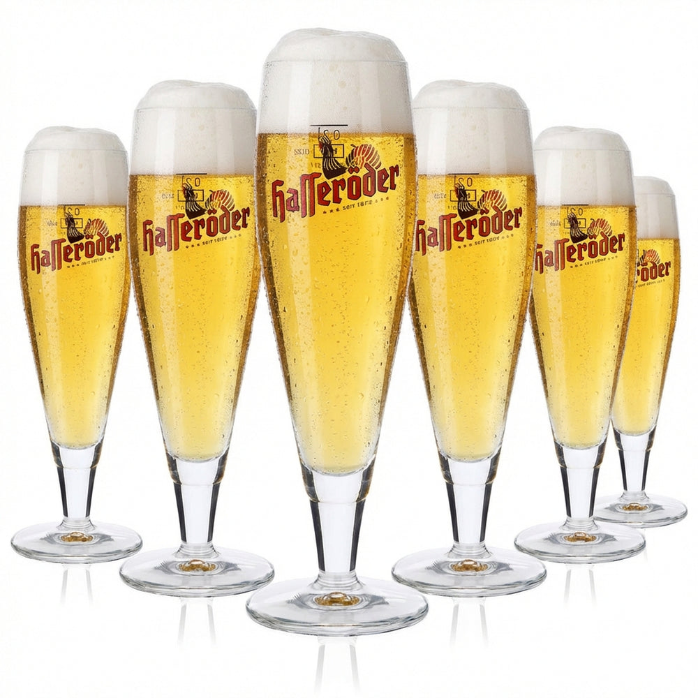 6 verres à bière Hasseröder Verres à pied 0,2 l Verres à bière Ritzenhoff Alegro Pokal