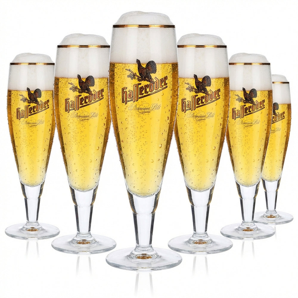 6 verres à bière Hasseröder Verres à pied 0,2 l Bord doré Alegro Pokal long Ritzenhoff