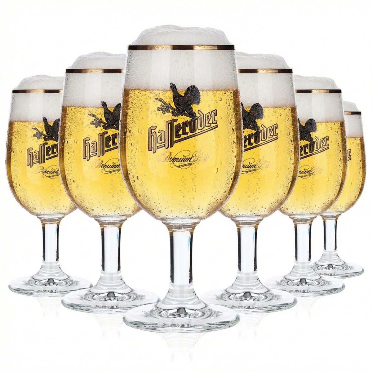 6 verres à bière Hasseröder en forme de coupe 0,2 l avec bord doré « Premium Pils » Ritzenhoff