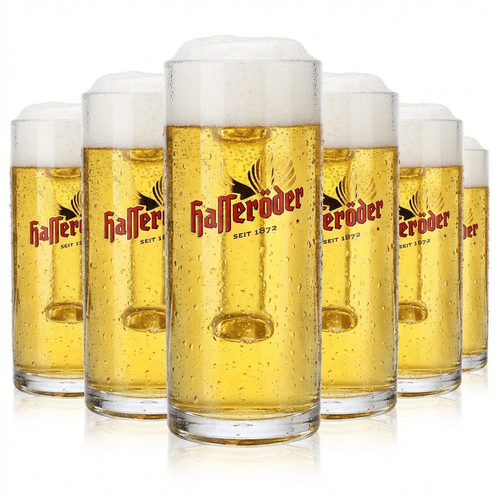 6 verres à bière Hasseröder Verres à bière Chopes 0,3 l Chope Reno