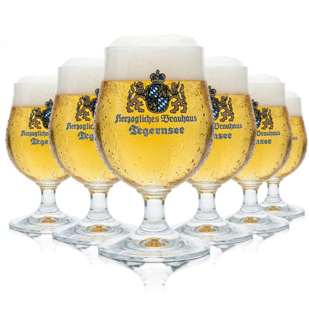 6x HB Tegernsee Verre 0,2 l Tulipe Verres à bière calibrés pour la restauration et les brasseries