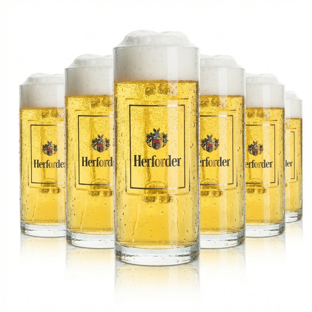 6 verres à bière Herforder Pils 0,5 l Kruger Wallenstein Sahm Seidel Henkel Gläser Beer