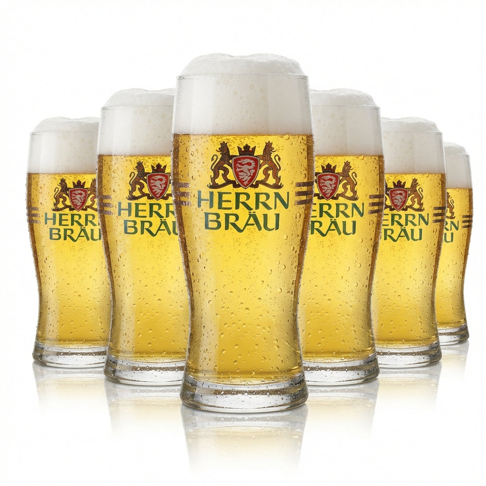 6 verres Herrbräu 0,25 l Willibecher, lot de verres à bière, brasserie, gastronomie, calibrés