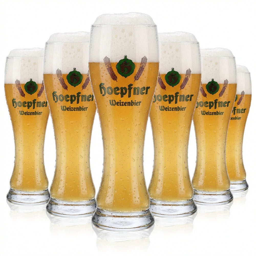 6 verres à bière Hoepfner 0,5 l Verre à bière blanche Logo vert Sahm Walchensee