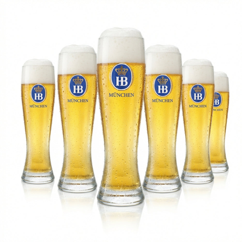 6 verres à bière Hofbräu München 0,5 l Hefe Weißbier Weizen Elegant Frosted