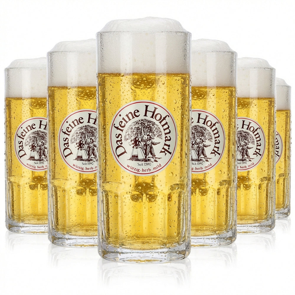 6 chopes Hofmark en verre de 0,3 l Set de chopes Hofmark Seidel Brauerei