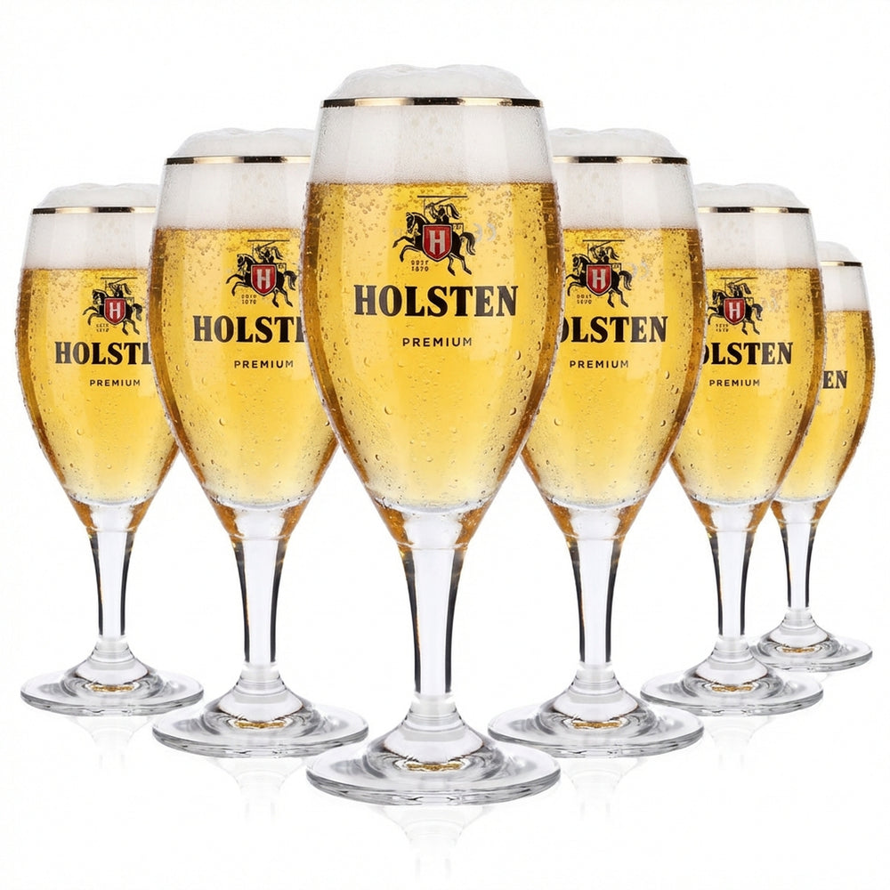 6 verres à bière Holsten 0,2 l Verres Premium Pokal Bord platine Tulipe Gastronomie Étalonnés