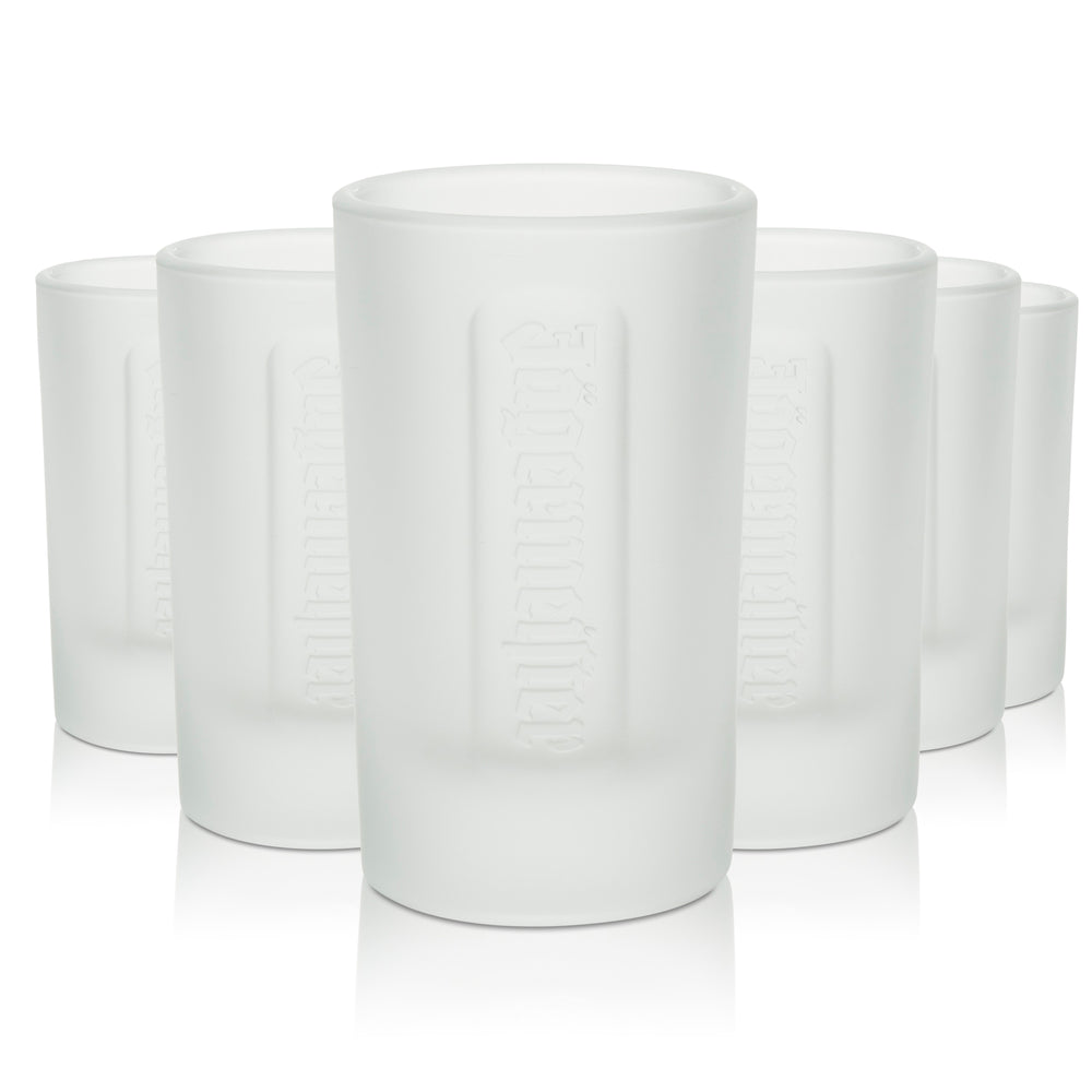 6 verres à shot Jägermeister 4 cl Verres à schnaps Frosted Calibrés Gastronomie