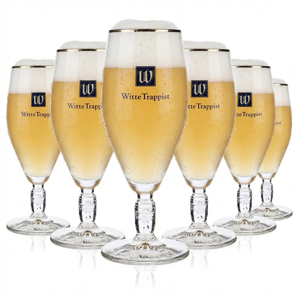 6 verres à bière La Trappe 0,3 l Verres à bière Relief dans le pied Coupe Bord doré