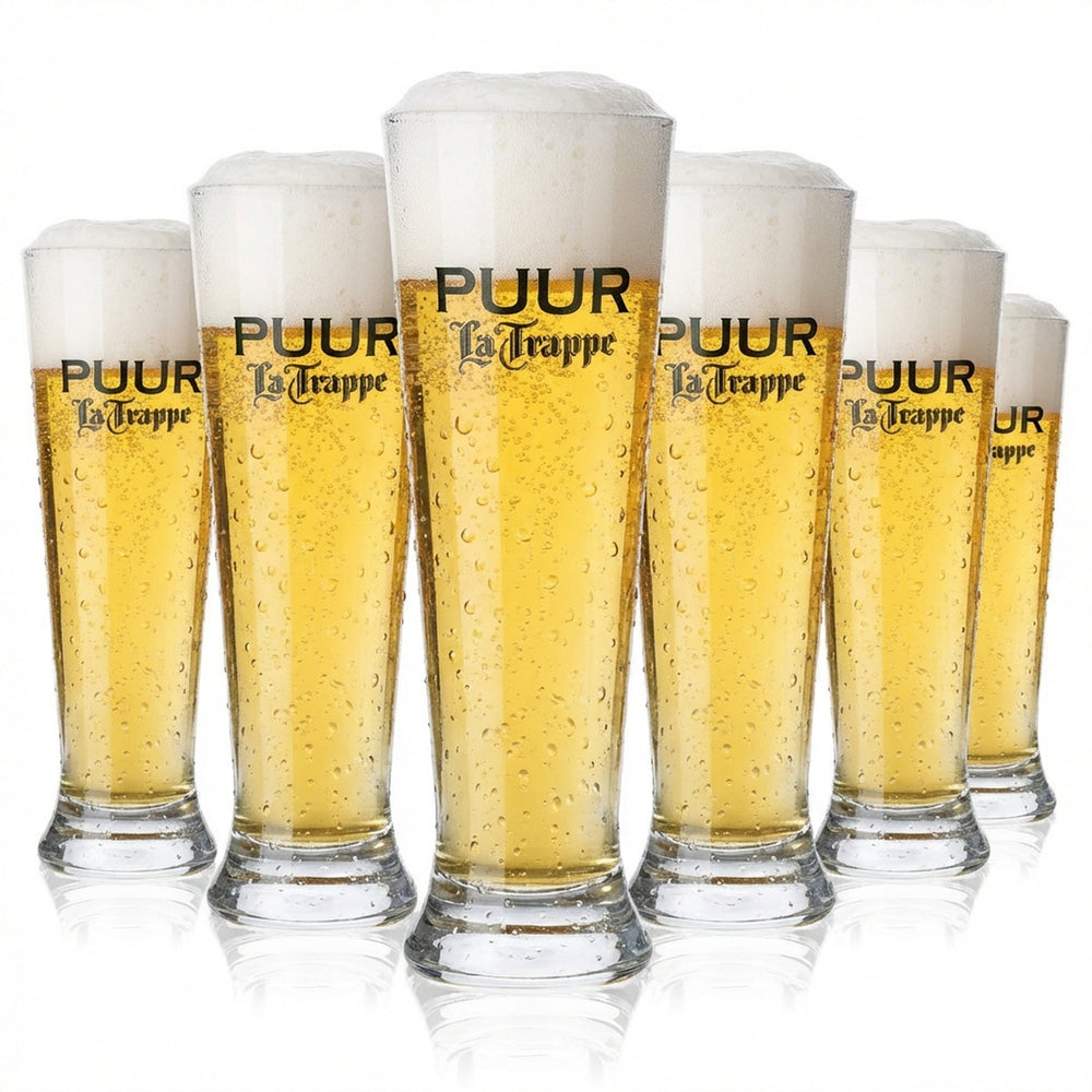 6 verres à bière La Trappe Verres à bière 0,3 l Verre à bière Gobelet / Coupe PUUR