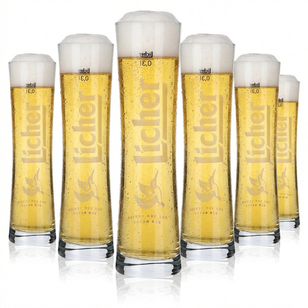 6 verres Licher 0,3 l, verres à bière design, set de verres à pied, brasserie Hessen