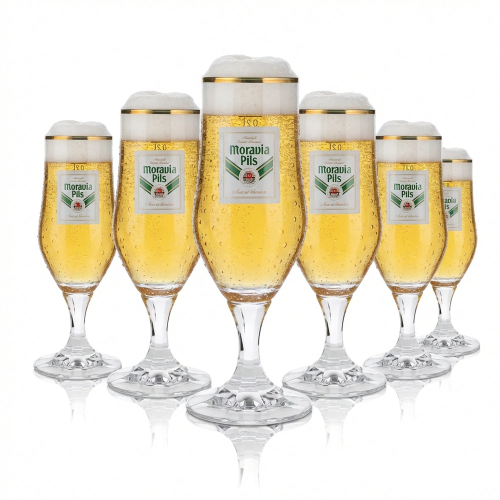 6 verres à bière Moravia 0,2 l, verres à pied, bord doré, perle de houblon, verres à pils, set, brasserie