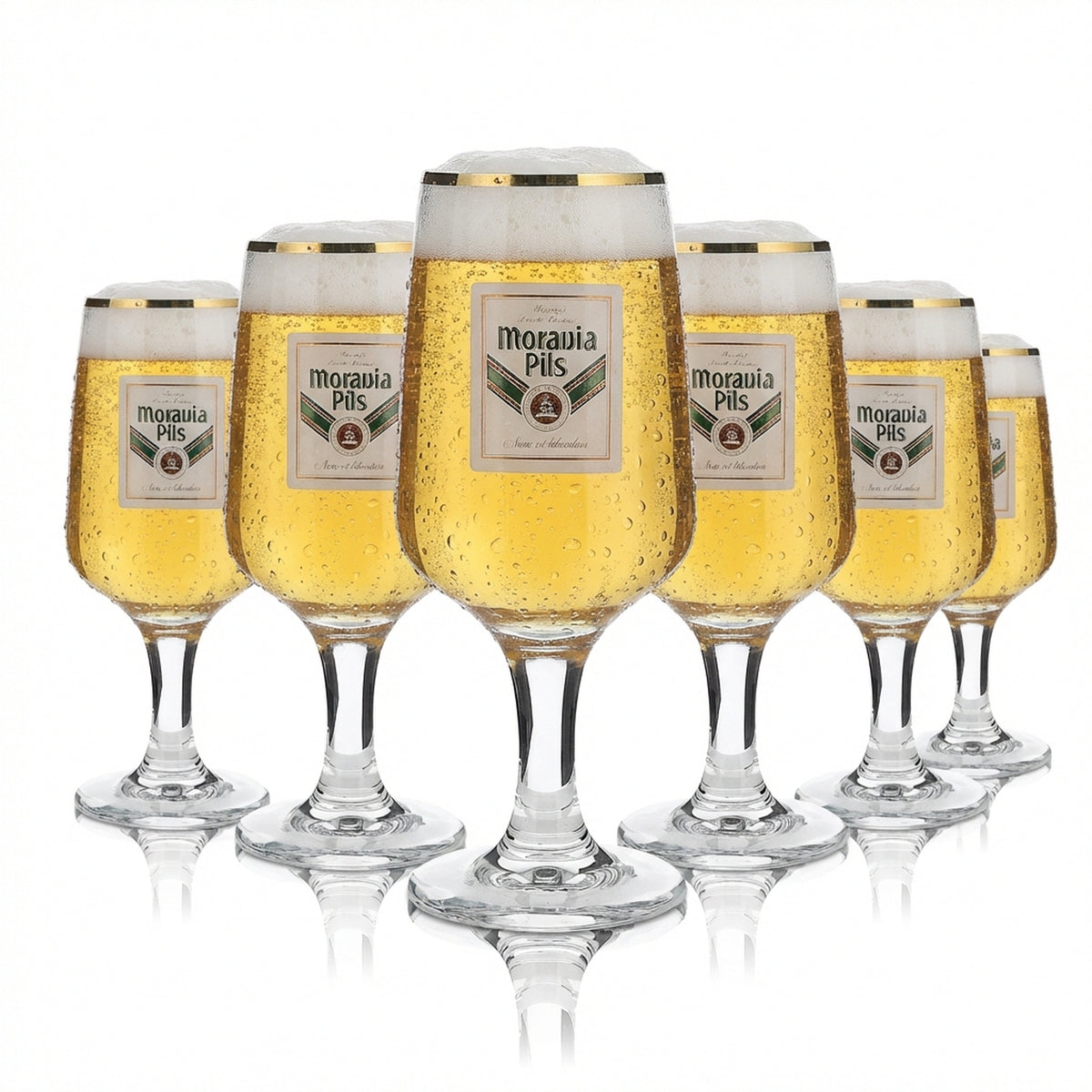 6 verres Moravia 0,2 l à bord doré, ensemble de verres à bière Pilstulpe, brasserie Gastro