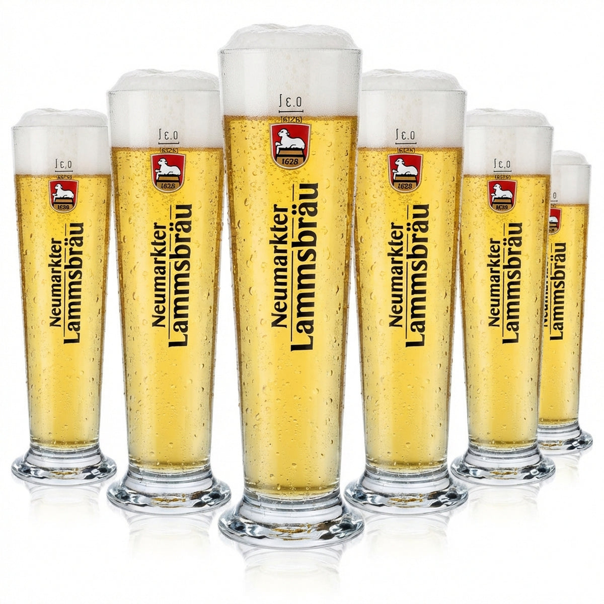 6 verres à bière Neumarkter Lammsbräu 0,3 l Verres à bière Stange Rastal Basic