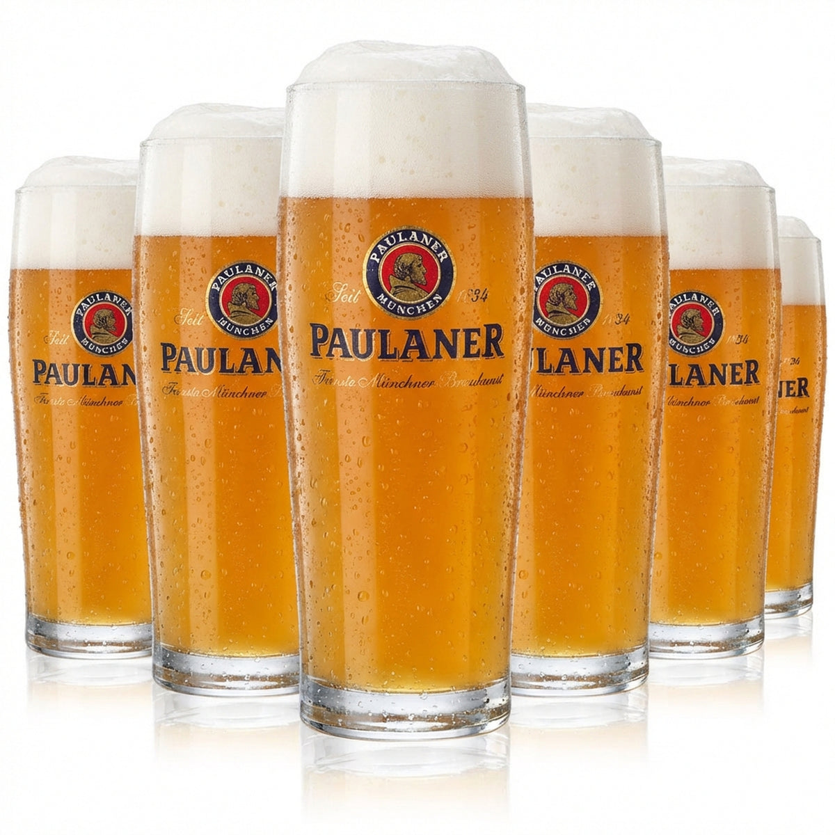 6 verres Paulaner Willibecher 0,3 l Verres à bière Verres à bière Tasses Sahm Gloria