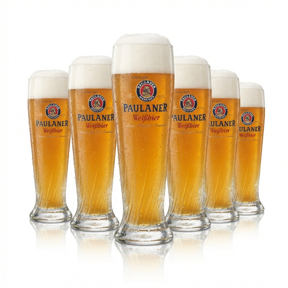 6 verres à bière Paulaner Weißbier 0,3 l Hefe Kristall Weizen Munich Bavière Gastronomie
