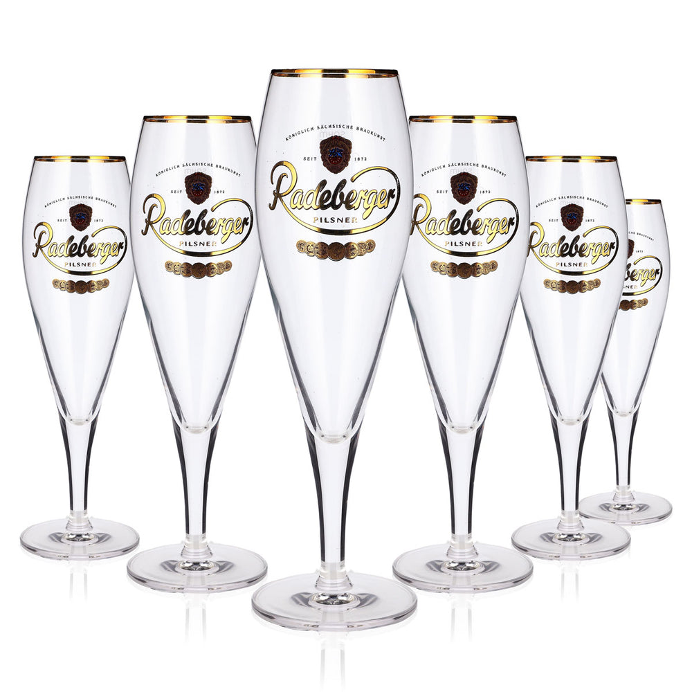 Lot de 6 verres à bière Radeberger de 0,3 l : verre à pils, verre à bière Sahm, verre tulipe