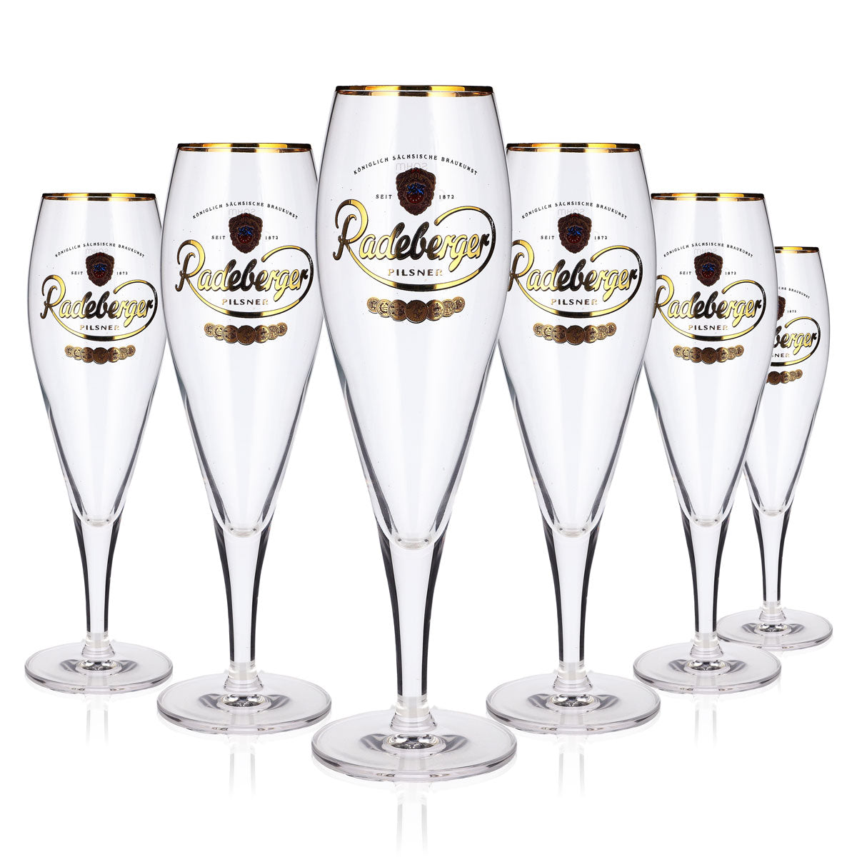 Lot de 6 verres à bière Radeberger de 0,3 l : verre à pils, verre à bière Sahm, verre tulipe