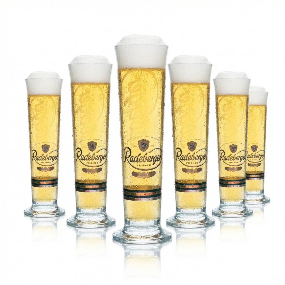 6 verres à bière Radeberger 0,3 l, forme tulipe, scène de bière, verres à pils, gastronomie