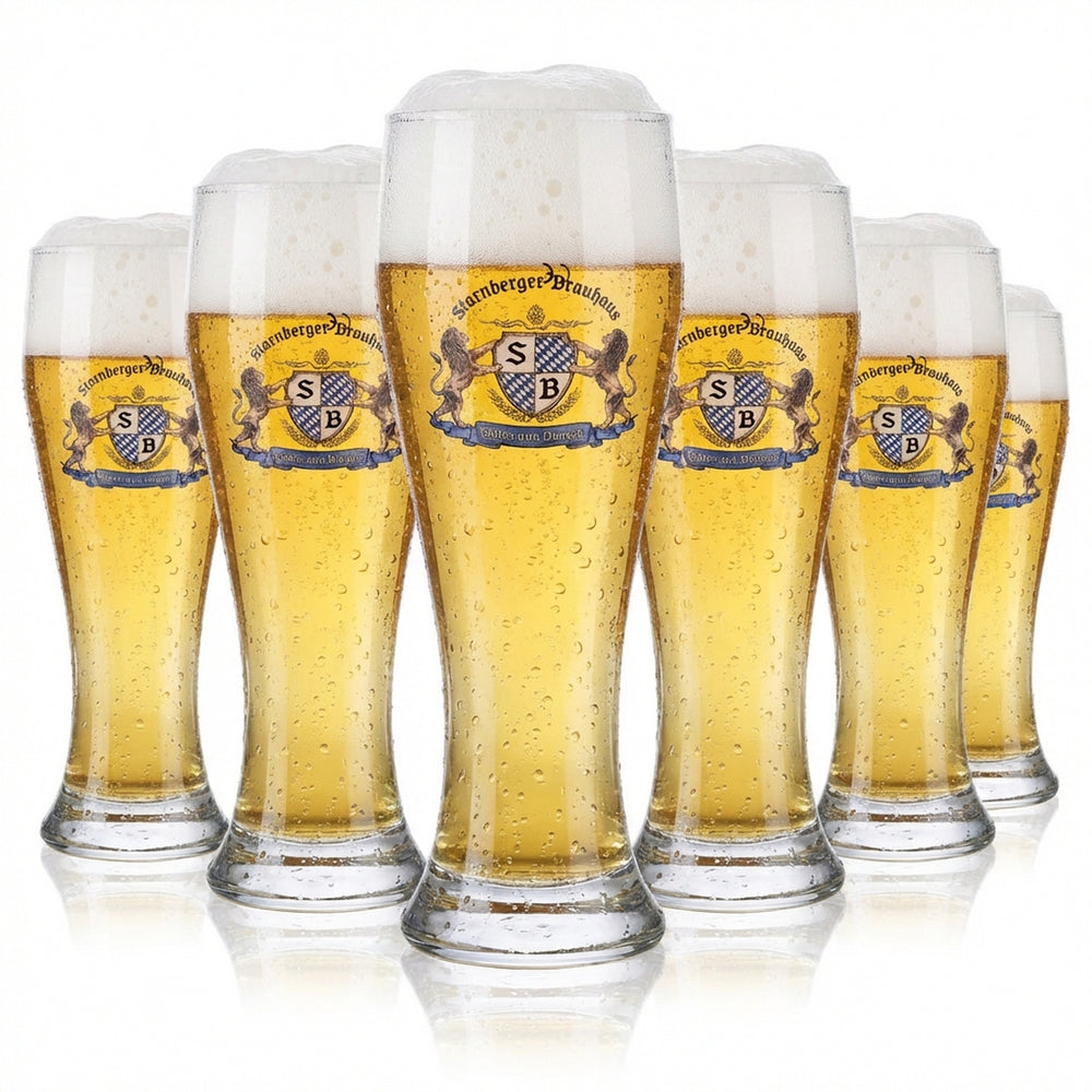 6 verres à bière Starnberger Brauhaus Verres en verre Verres à bière 0,3 l Verre à bière blanche