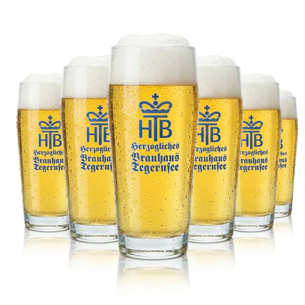 6 verres à bière Tegernsee 0,5 l Willi Becher F. Herb Helles Verres Willy Brauerei