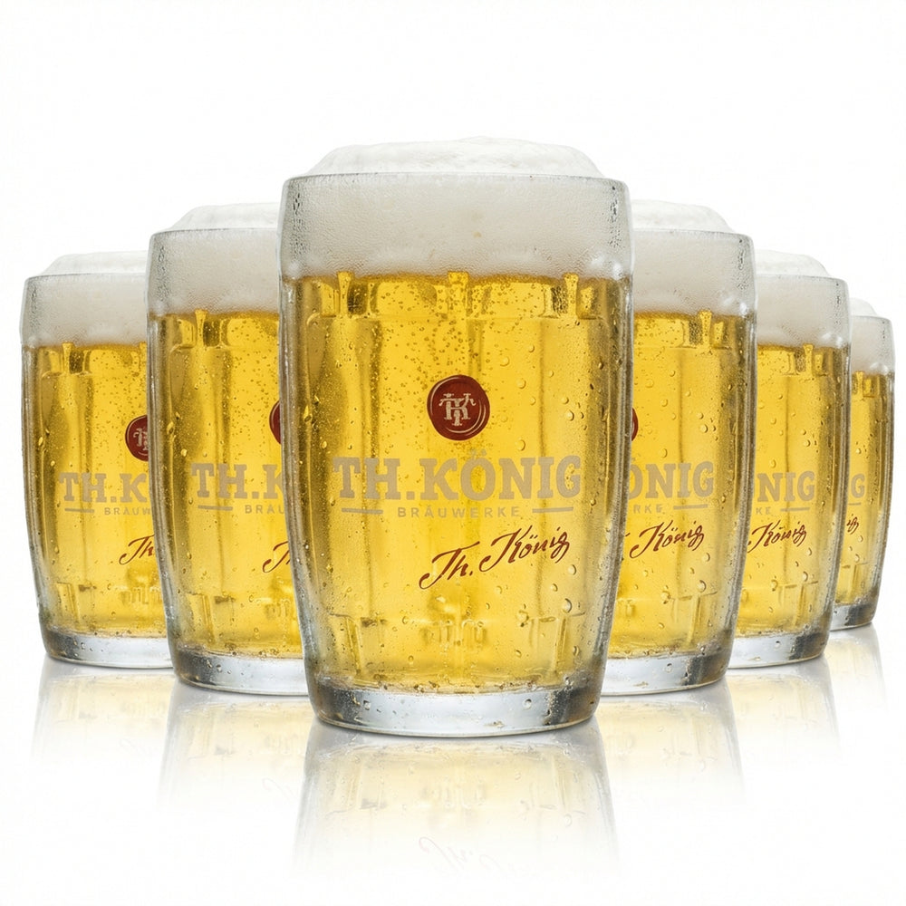 6x Theodor König Verre à bière 0,5 l Chope Humpen Seidel Verres à relief Zwickl