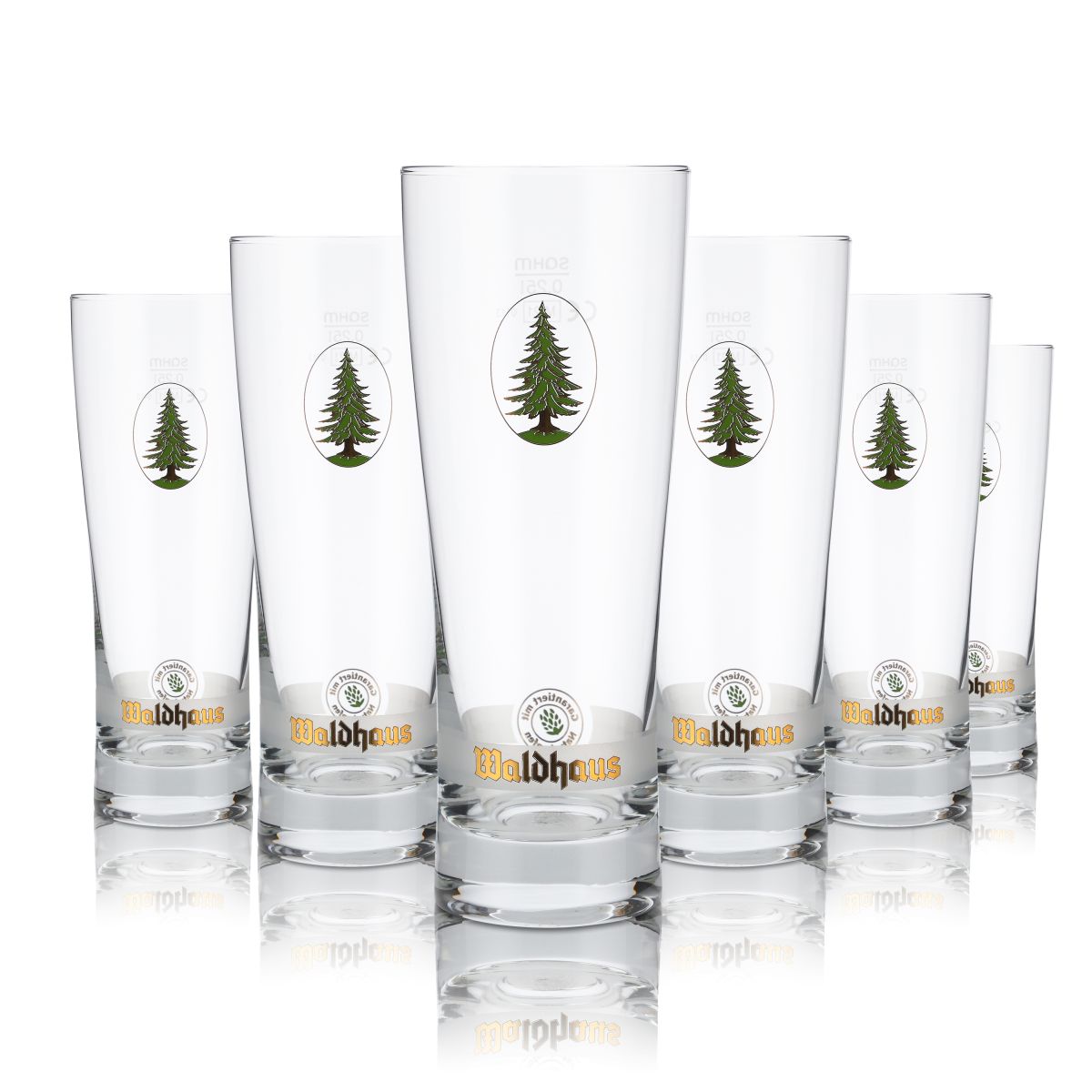 6x Waldhaus verre 0,25l verre à bière verre à coupe verre à pied set de verres de brasserie Gastro
