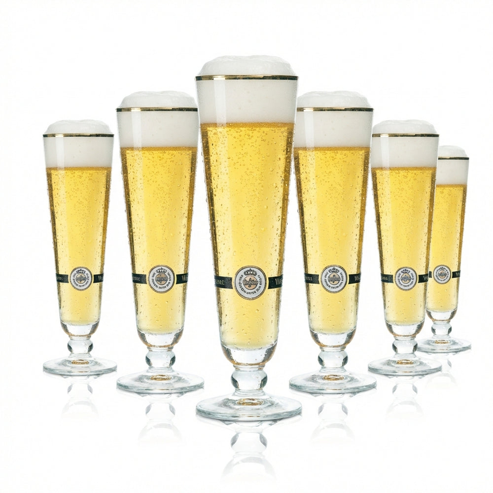 6 verres à bière Warsteiner 0,2 l, bord doré, verres à pils tulipe, verre à bière