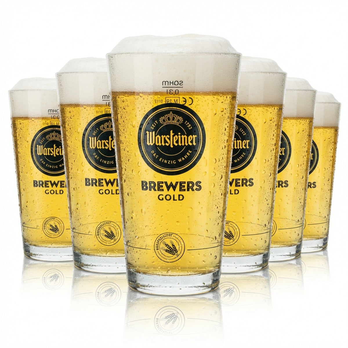 6 verres à bière Warsteiner 0,3 l Brewers Gold Sahm Nouveau Tumbler Verres à bière Pils Export