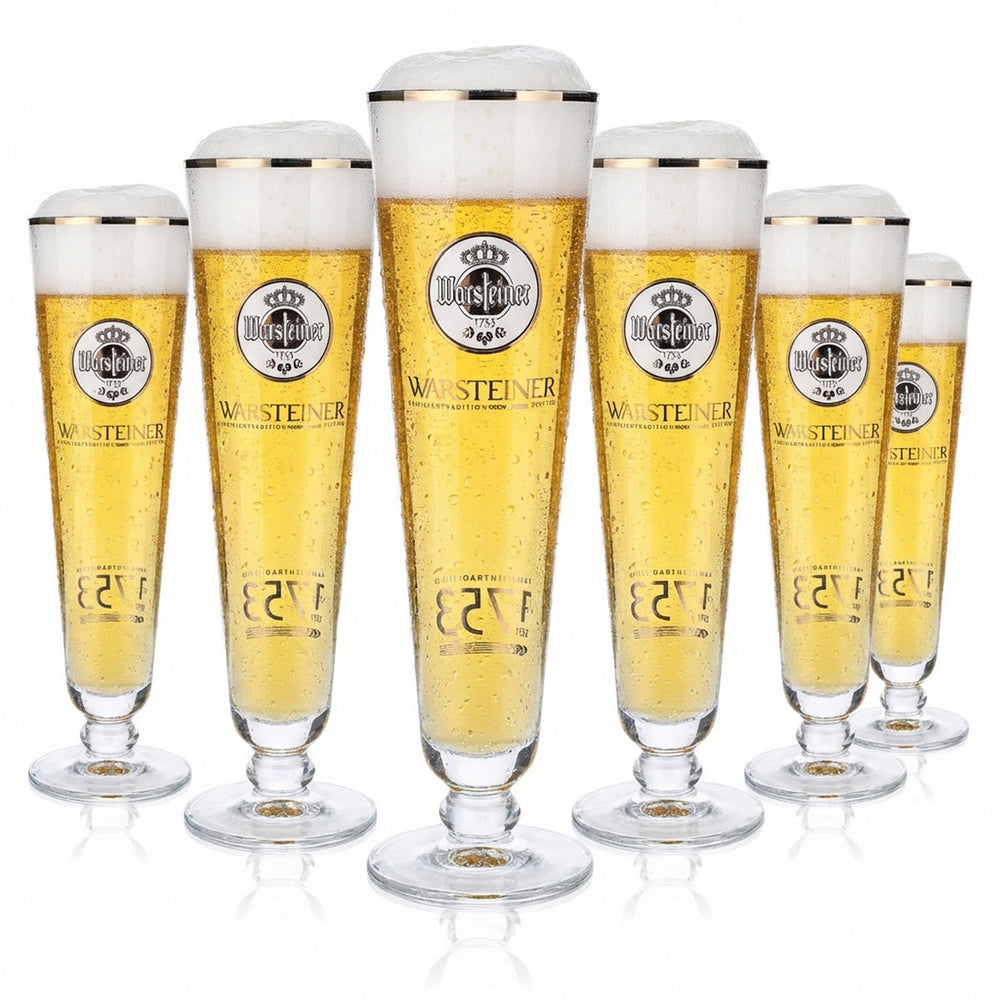 6 verres à bière Warsteiner Verres à bière 0,4 l Coupe 1753 Logo blanc
