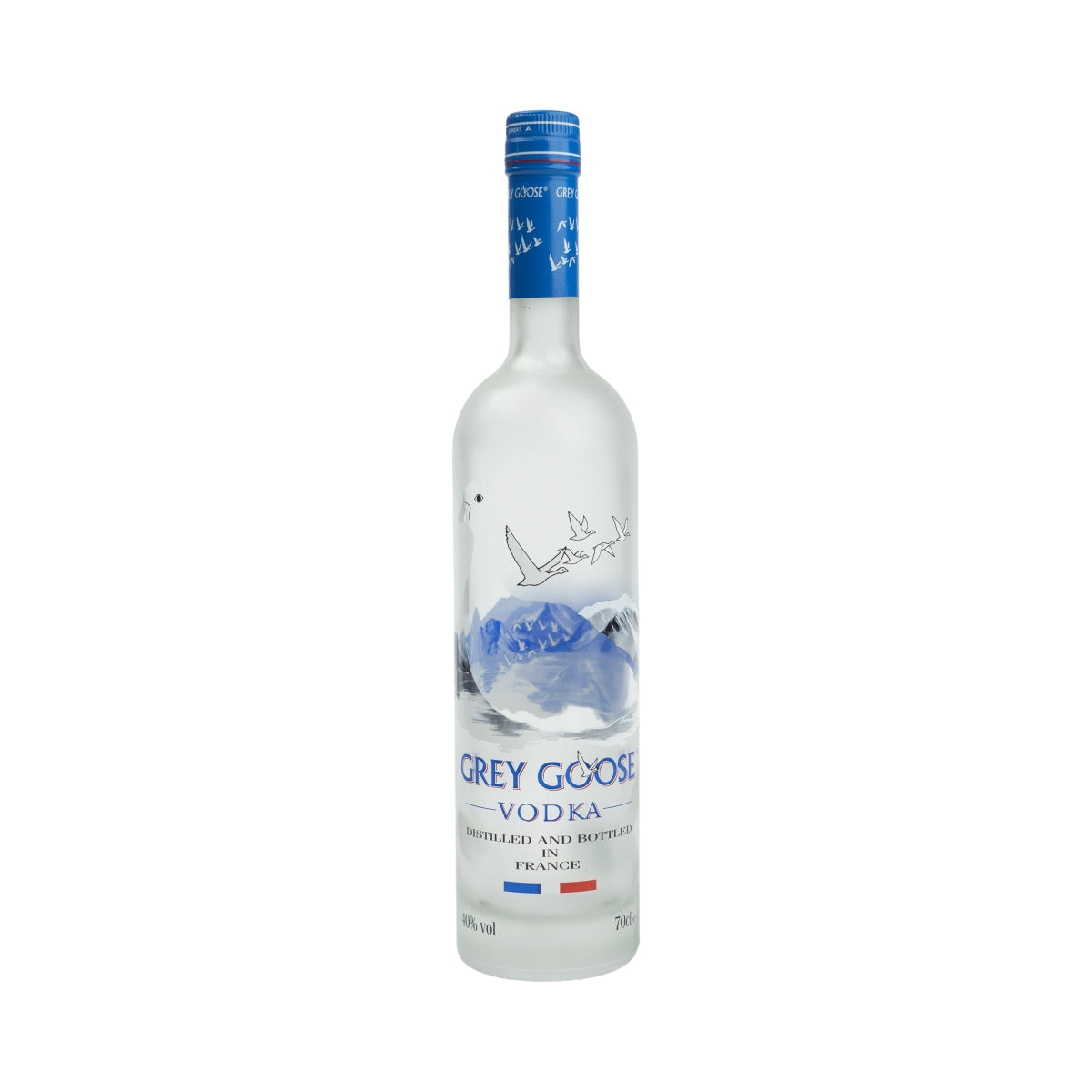 Grey Goose Vodka 0,7 l bouteille factice LEER présentoir décoratif pour bar mannequin vide