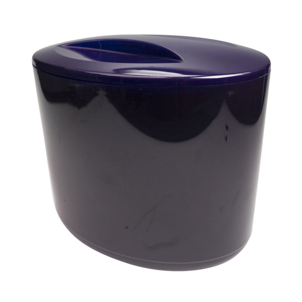 Refroidisseur Refroidisseur de bouteilles Récipient à glace Violet avec couvercle Refroidisseur de boissons Boîte à glace