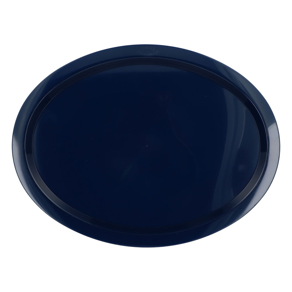 Plateau de service « Fachingen Wasser » de la marque Staatl, plateau de serveur bleu en plastique