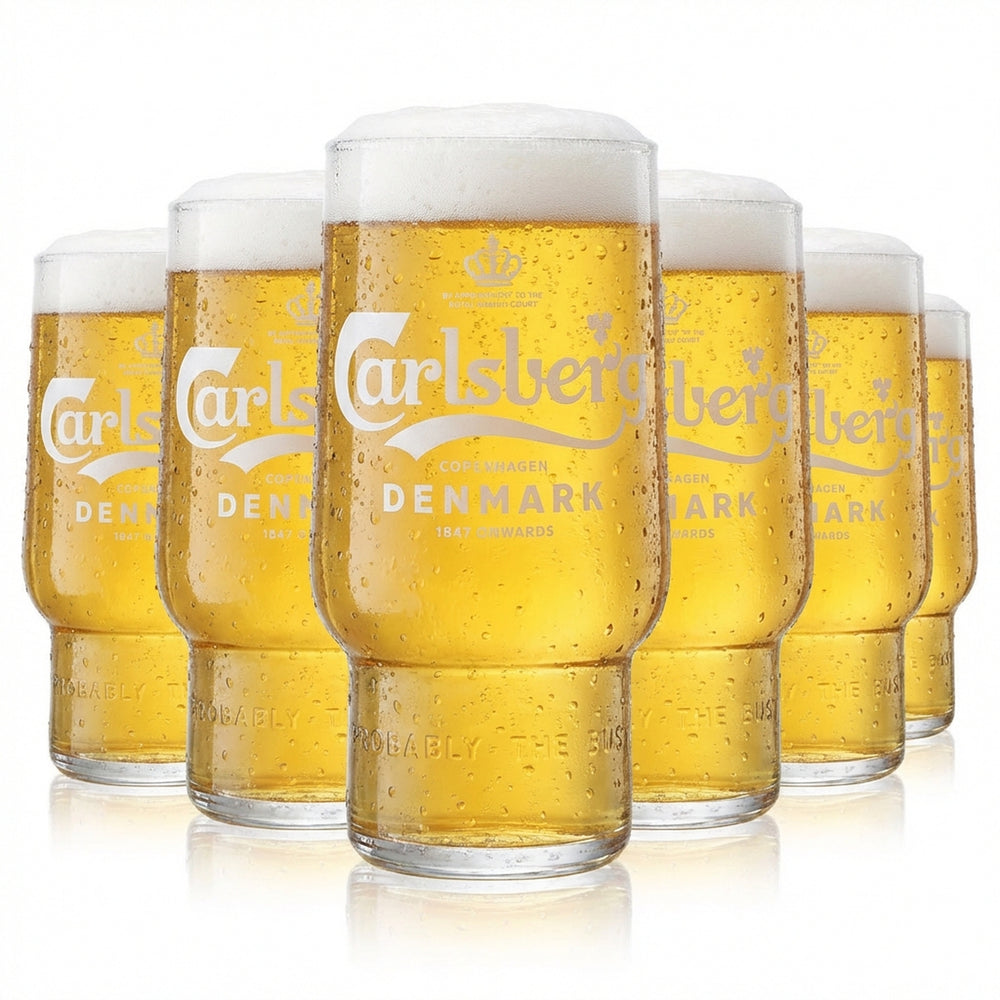 6 verres à bière Carlsberg 0,5 l Verres à bière Tumbler Verre à bière Mug Logo blanc