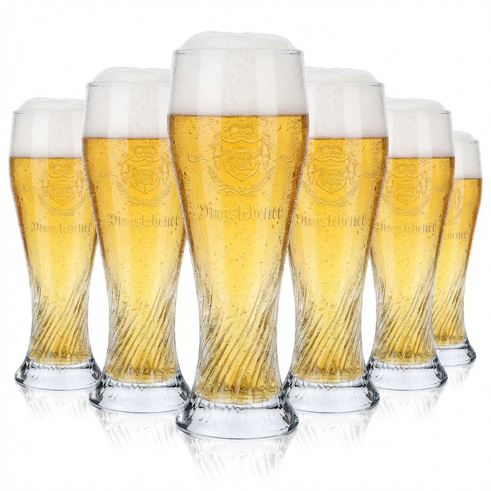 6 verres à bière Dingslebener Verres à bière blanche Verres à bière 0,3 l Relief Perlsee