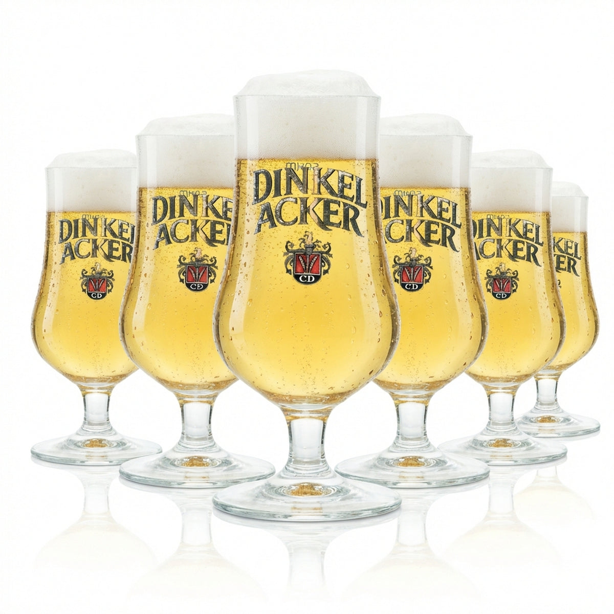 6 verres à bière en verre 0,2 l Tulipe CD Sahm Pils Gaston Pokal Brasserie